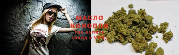 мдпв Михайловск