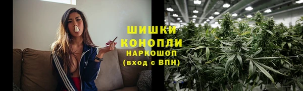 мдпв Михайловск