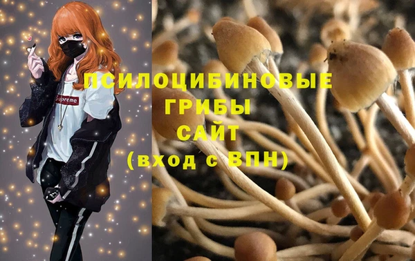 мет Аркадак