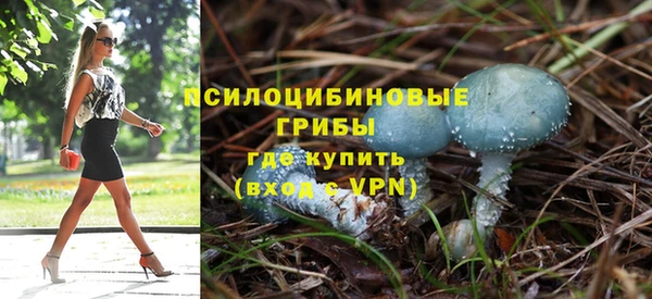 прущая мука Арсеньев